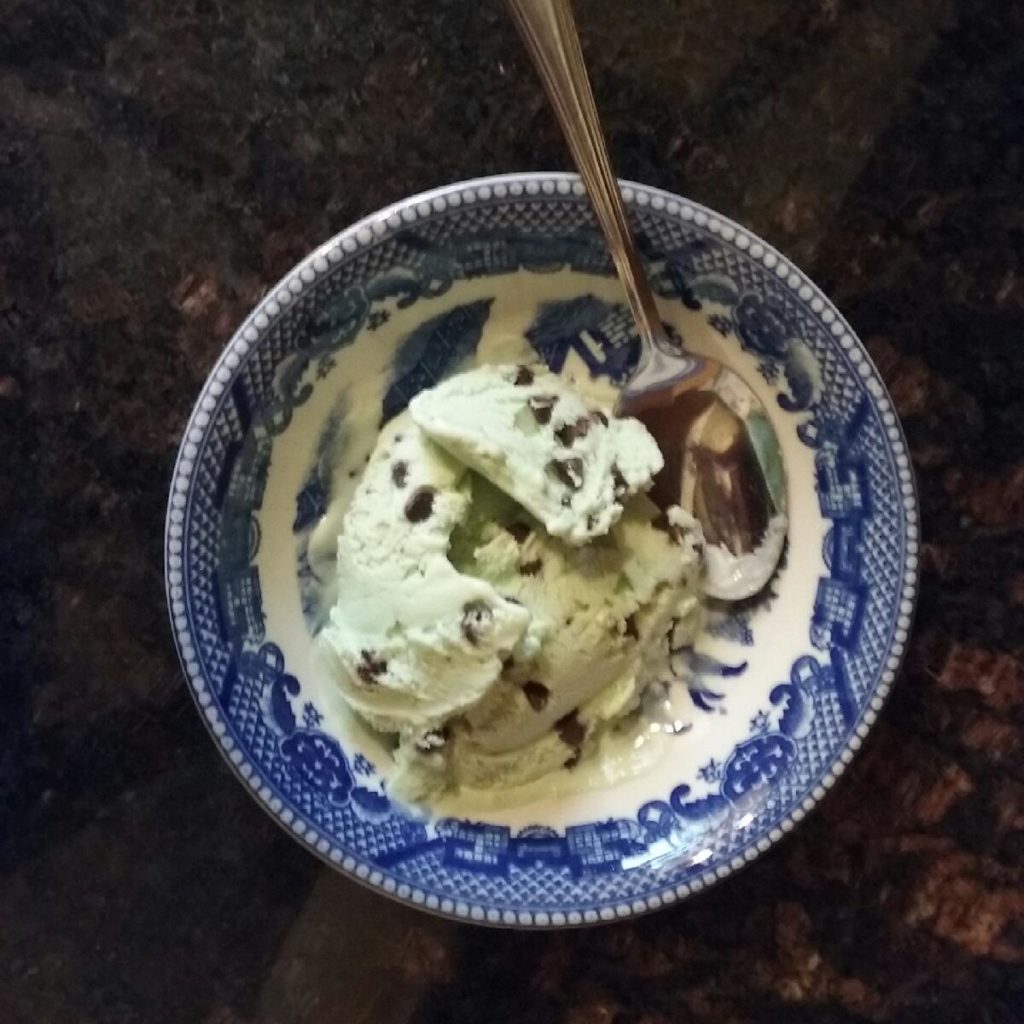 Homemade Mint Chocolate Chip Ice Cream 