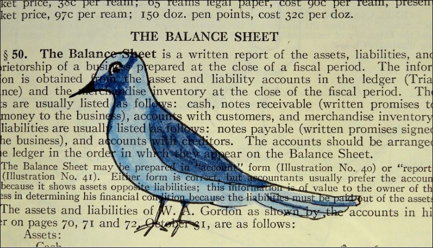 blue bird painted on a book page