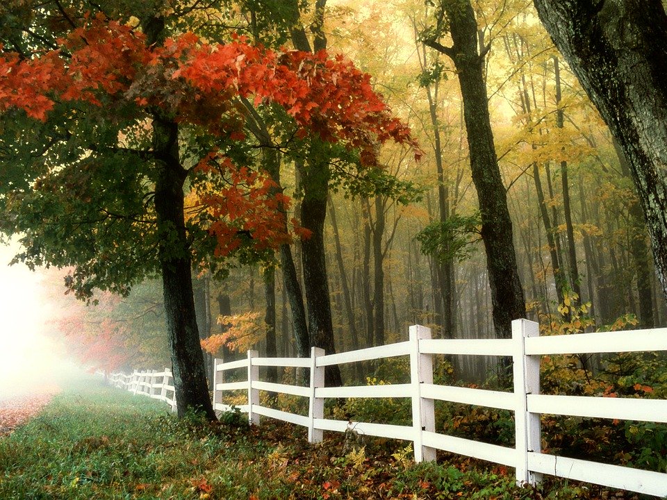 Fall scene Pixabay
