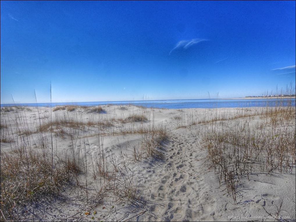 North Caroline Beach - Photo Credit, Catherine Michaels 