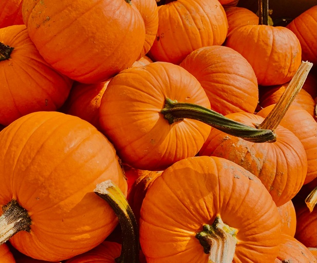 Happy November 2025! 